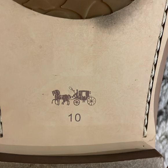 Gold Coach slides - Picture 4 of 4